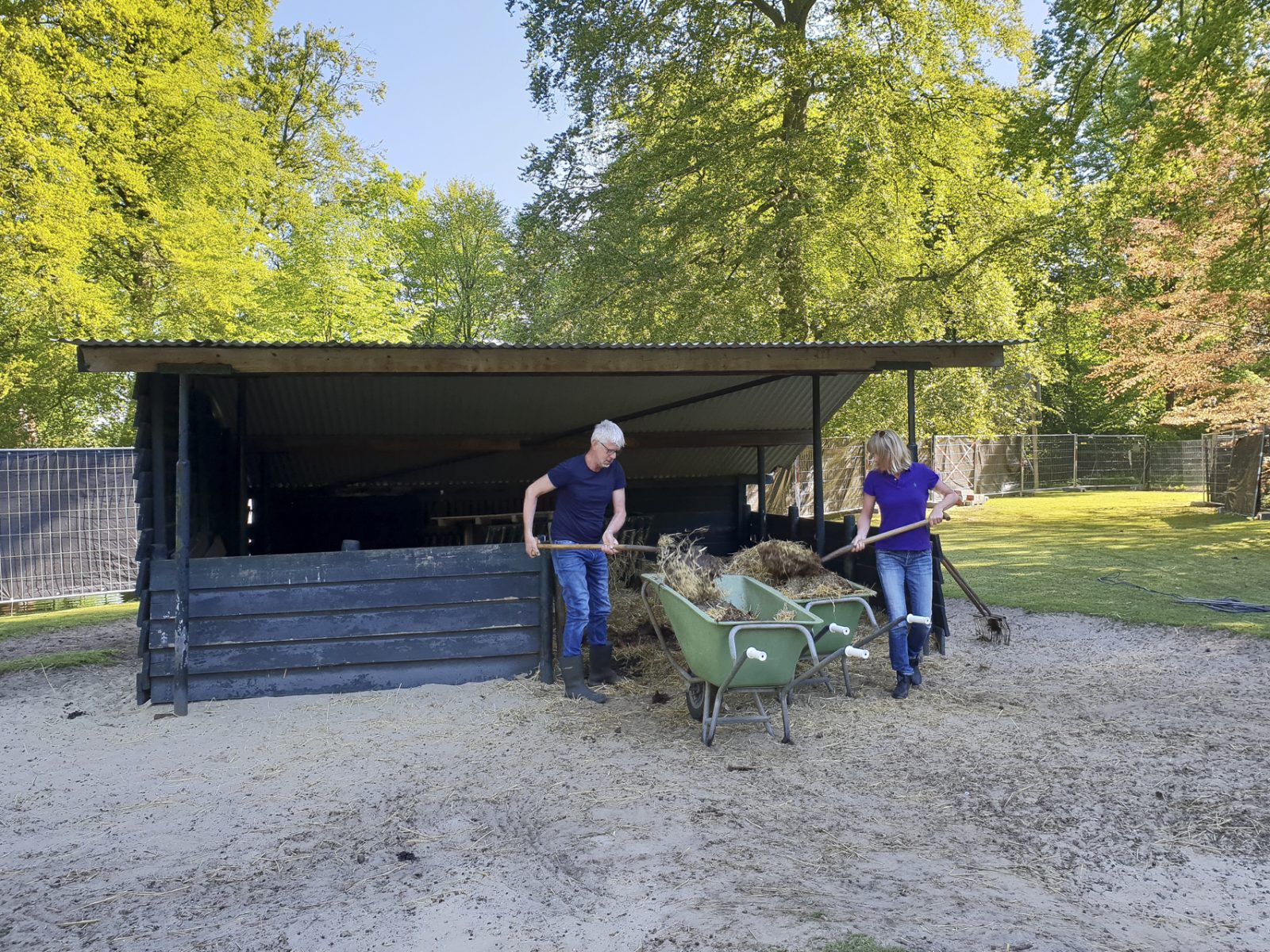 De ontruiming van de oude hertenstal