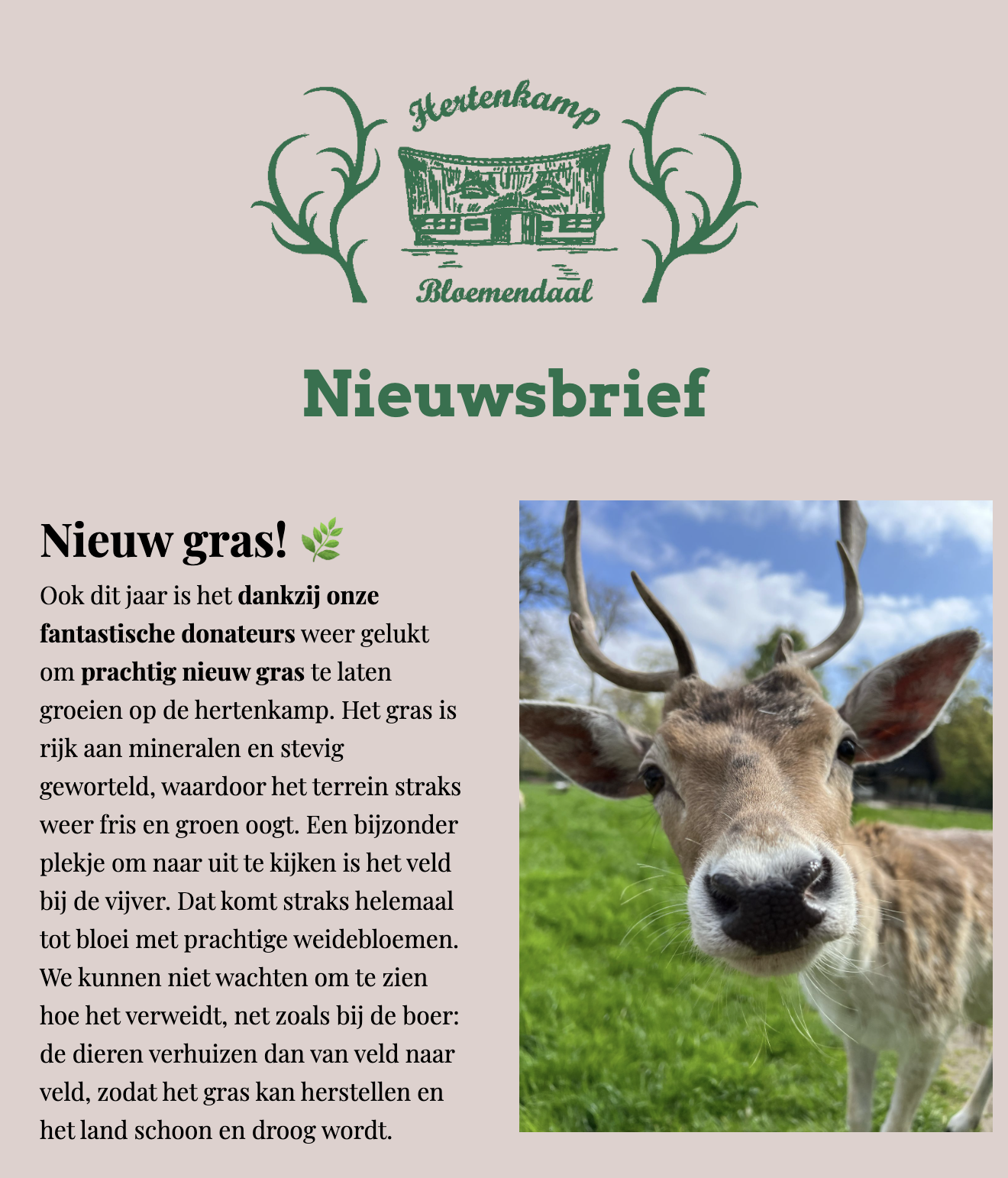Lentenieuwtjes 🦌🌼