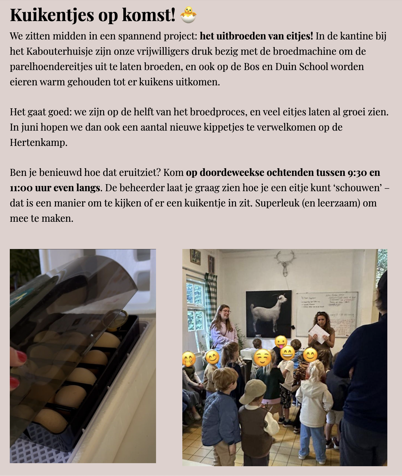 Lentenieuwtjes 🦌🌼