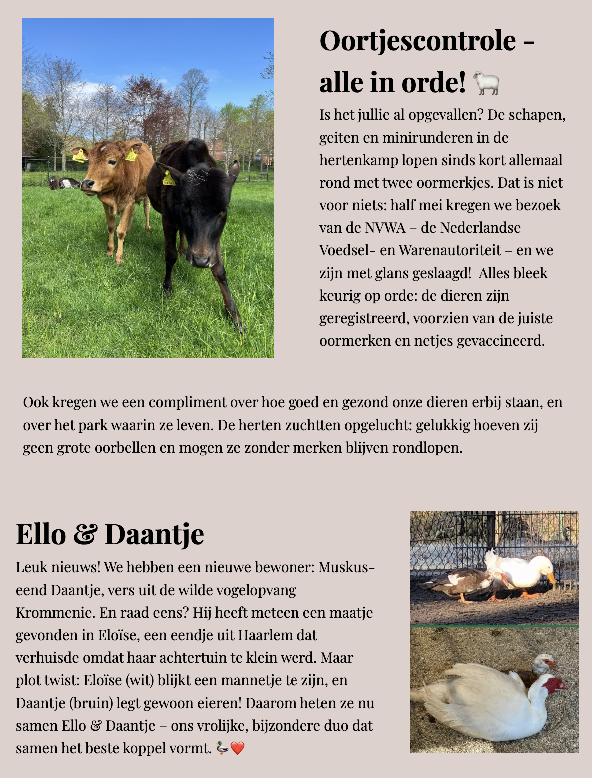 Lentenieuwtjes 🦌🌼