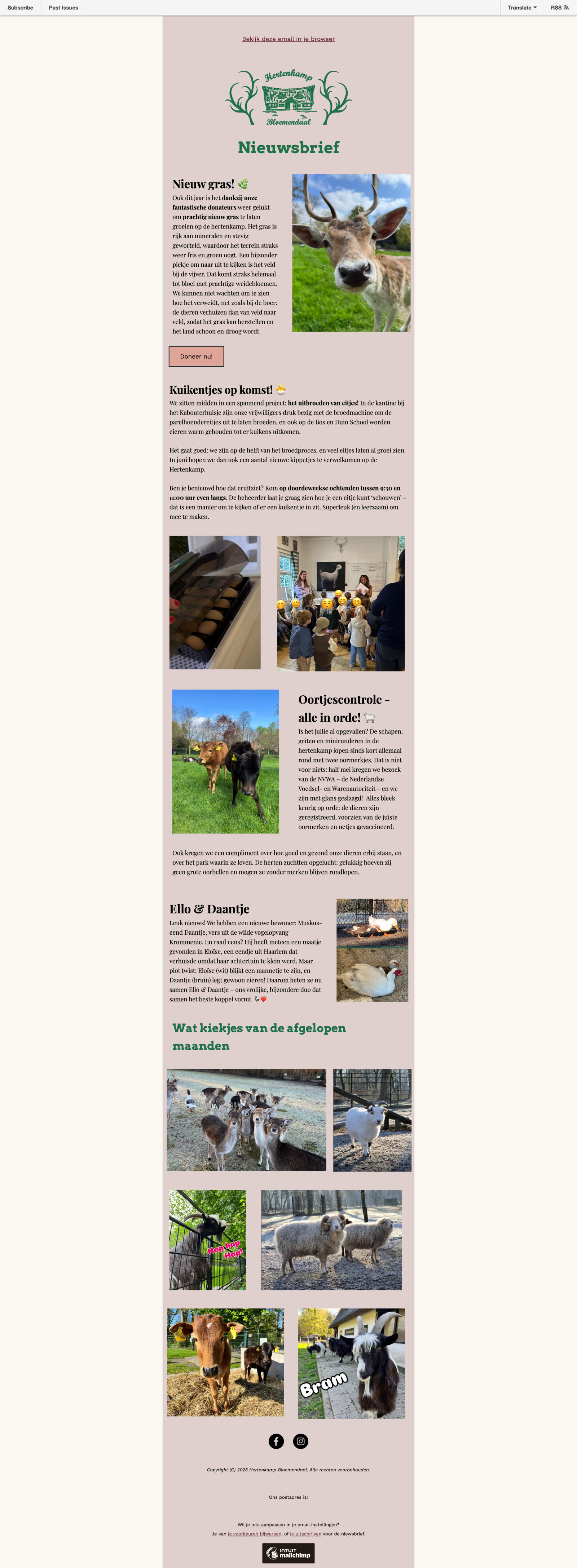 Lentenieuwtjes 🦌🌼