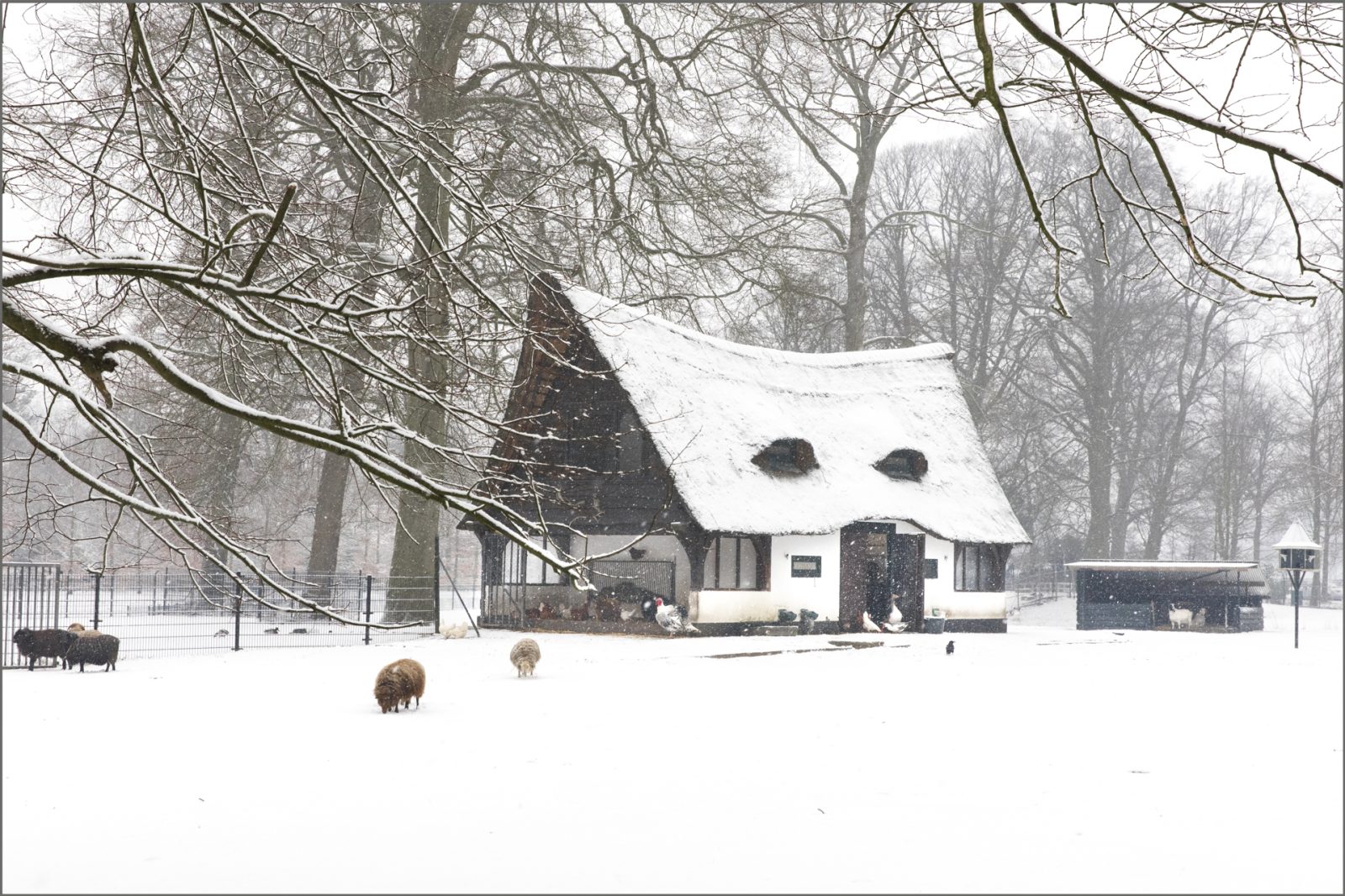 2017 Winter in 'de Hertenkamp'