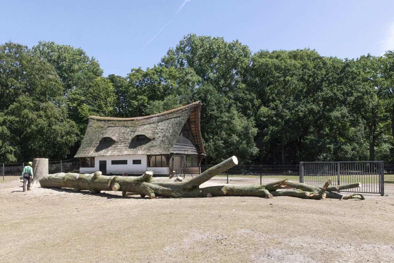De afwerking van de nieuwe hertenstal