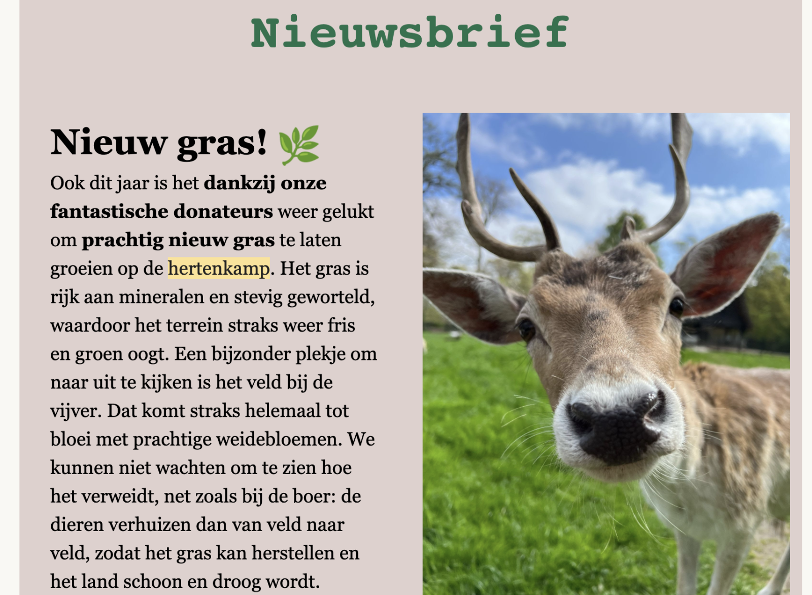 Lentenieuwtjes 🦌🌼