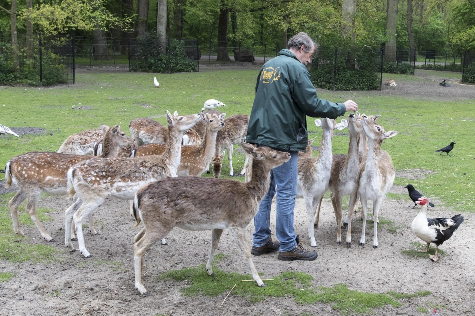 Vrijwilligers op de Hertenkamp Bloemendaal