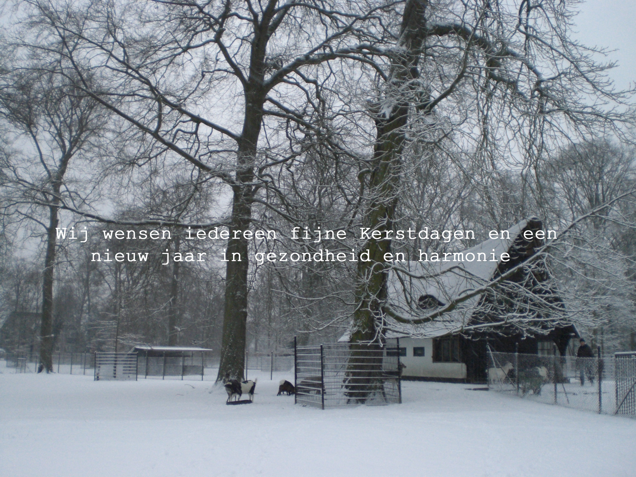 Kerst- en Nieuwjaarswens 2016