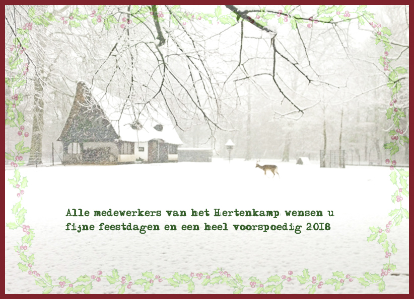 Eindejaarswensen medewerkers Hertenkamp Bloemendaal!