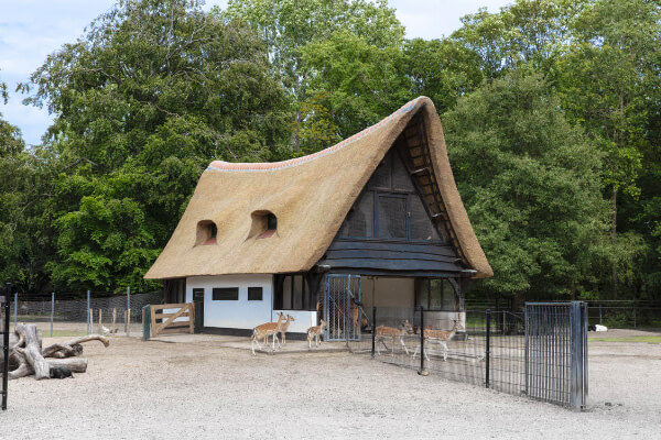 Hertenkamp buitenhuisje