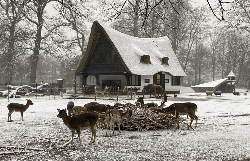 Sneeuw!
