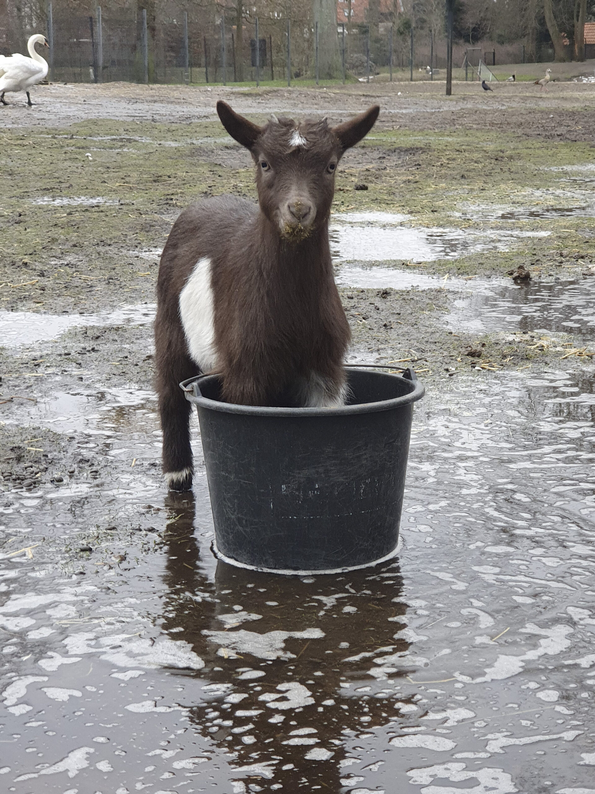 Lekker pootje baden!